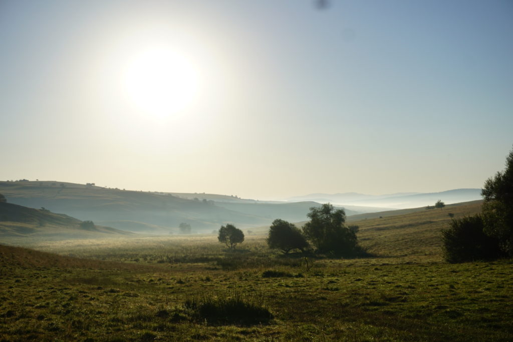 DSC04060